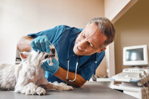 Best Emergency Treatment for Dental Infections or Abscesses in Barrington, IL